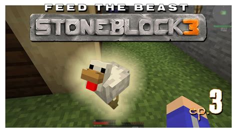 Chickens mod stoneblock 3  Only 1 slot is required